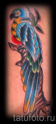 фото пример за татуировка на папагал за статия за значението на татуировка с папагал - 17
