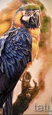 фото пример за татуировка на папагал за статия за значението на татуировка с папагал - 16