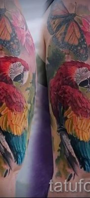 фото пример за татуировка на папагал за статия за значението на татуировка с папагал - 14