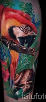 фото пример за татуировка на папагал за статия за значението на татуировка с папагал - 13
