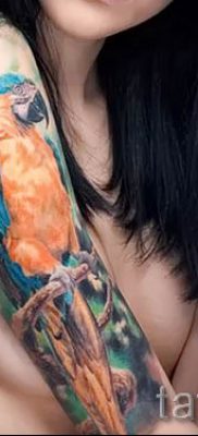 фото пример за татуировка на папагал за статия за значението на татуировка с папагал - 12