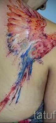 фото пример за татуировка на папагал за статия за значението на татуировка с папагал - 11