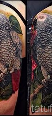 фото пример за татуировка на папагал за статия за значението на татуировка с папагал - 10