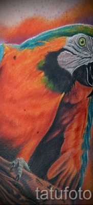 фото пример за татуировка на папагал за статия за значението на татуировка с папагал - 7