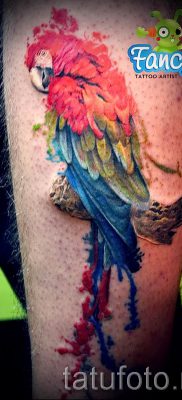 фото пример за татуировка на папагал за статия за значението на татуировка с папагал - 6