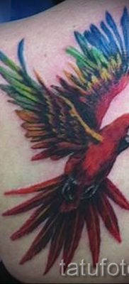 фото пример за татуировка на папагал за статия за значението на татуировка с папагал - 3