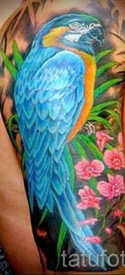 фото пример за татуировка на папагал за статия за значението на татуировка с папагал - 2