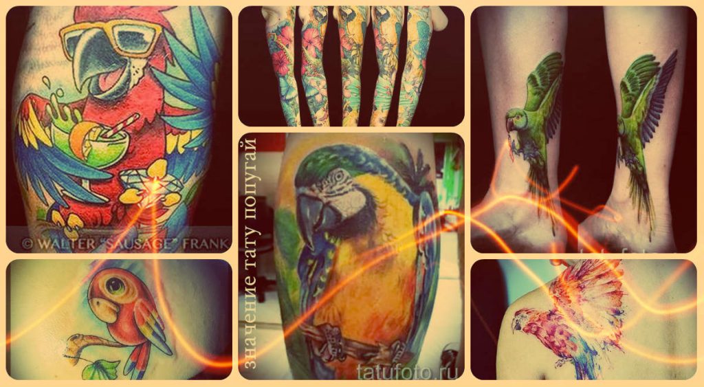 Значението на татуировка на папагал и примери за успешни готови татуировки - снимка