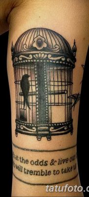 fotó madár és ketrec tetoválás kelt 2017. 08. 16. №145 - Tetovált madár és ketrec_