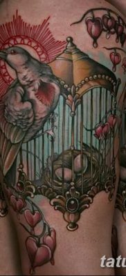 fotó a madár és ketrec tetoválásáról, kelt 2017. 08. 16 -án №148 - Tetovált madár és ketrec_