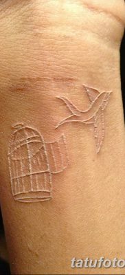 fotó a madár és ketrec tetoválásról, 2017. 08. 16. №150 - Tetovált madár és ketrec_