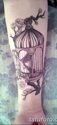 fotó a madár és ketrec tetoválásról, 2017. 08. 16 -án №019 - Tetovált madár és ketrec_