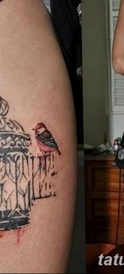 fotó a madár és a ketrec tetoválásáról, kelt 2017.08.16. №030 - Tetovált madár és ketrec_