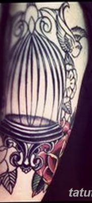 fotó madár és ketrec tetoválás kelt 2017.08.16. №044 - Tetovált madár és ketrec_