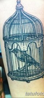 fotó madár és ketrec tetoválás kelt 2017.08.16. №062 - Tetovált madár és ketrec_