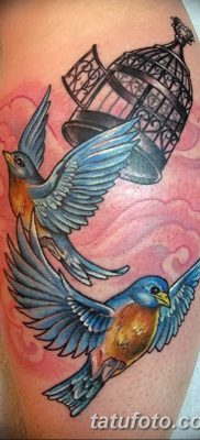 fotó a madár és a ketrec tetoválásáról, kelt 2017. 08. 16 -án №064 - Tetovált madár és ketrec_
