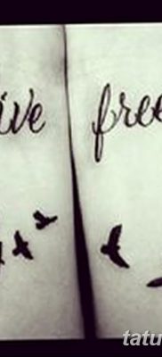 fotó madár és ketrec tetoválás kelt 2017. 08. 16. №067 - Tetovált madár és ketrec_