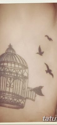 fotó a madár és ketrec tetoválásáról, dátum: 2017.08.08. №068 - Tetovált madár és ketrec_