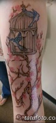 fotó a madár és ketrec tetoválásról, 2017. 08. 16 -án №072 - Tetovált madár és ketrec_