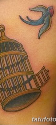 fotó a madár és ketrec tetoválásról, kelt 2017. 08. 16 -án №077 - Tetovált madár és ketrec_