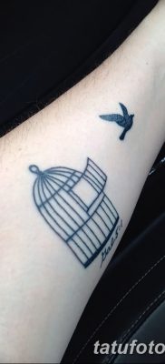 fotó madár és ketrec tetoválásról, dátum: 2017.08.08. №080 - Tetovált madár és ketrec_