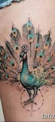 Fotó madártetoválásról lányoknak 2018.08.07. №002 - madártetoválás lányoknak -