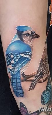 Fotó madártetoválásról lányoknak 2018.08.07. №004 - madártetoválás lányoknak -