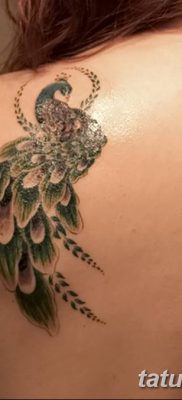 Fotó madártetoválásról lányoknak 2018.08.07. №017 - madártetoválás lányoknak -