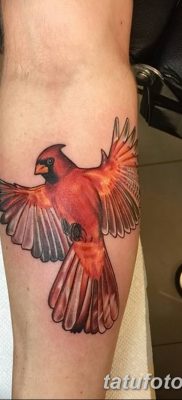 Fotó madártetoválásról lányoknak 2018.08.07. №033 - madártetoválás lányoknak -