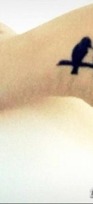 Fotó madártetoválásról lányoknak 2018.08.07. №056 - madártetoválás lányoknak -