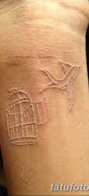 Fotó madártetoválásról a csuklón 2018.08.17. №179 - madár tetoválása a csuklón -