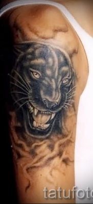 Tetovaža Cougar - fotografije gotovih tetovaža za članak o značenju 22