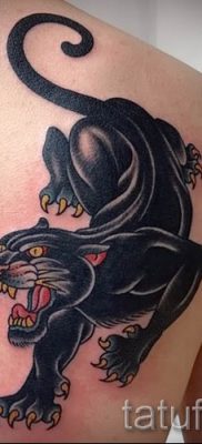 Tetovaža Puma - fotografije gotovih tetovaža za članak o vrijednosti 20