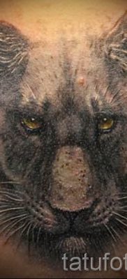 Tetovaža Puma - fotografije gotovih tetovaža za članak o značenju 9