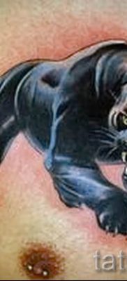Tetovaža Puma - fotografije gotovih tetovaža za članak o značenju 1