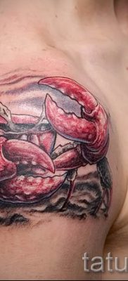 fotografija tetovaže raka za članak o značenju tetovaže sa slikom raka - tatufoto.ru - 19