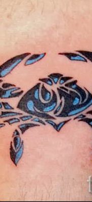 fotografija tetovaže raka za članak o značenju tetovaže sa slikom raka - tatufoto.ru - 17