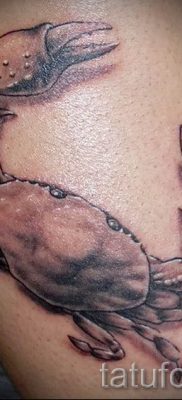 fotografija tetovaže raka za članak o značenju tetovaže sa slikom raka - tatufoto.ru - 14