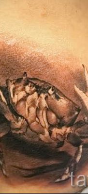 fotografija tetovaže raka za članak o značenju tetovaže sa slikom raka - tatufoto.ru - 13