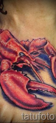 fotografija tetovaže raka za članak o značenju tetovaže sa slikom raka - tatufoto.ru - 12
