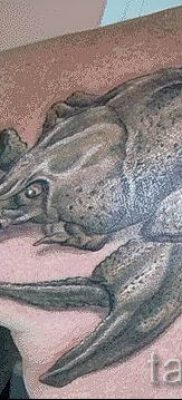 fotografija tetovaže raka za članak o značenju tetovaže sa slikom raka - tatufoto.ru - 11