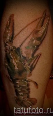 fotografija tetovaže raka za članak o značenju tetovaže sa slikom raka - tatufoto.ru - 10
