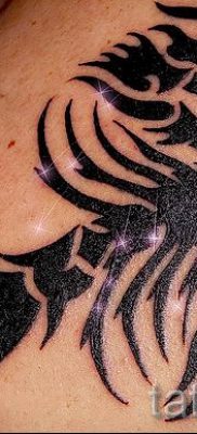 fotografija tetovaže raka za članak o značenju tetovaže sa slikom raka - tatufoto.ru - 9