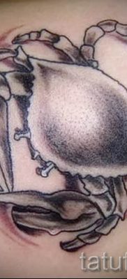 fotografija tetovaže raka za članak o značenju tetovaže sa slikom raka - tatufoto.ru - 7