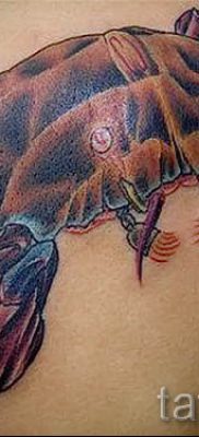 fotografija tetovaže raka za članak o značenju tetovaže sa slikom raka - tatufoto.ru - 6