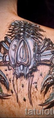 fotografija tetovaže raka za članak o značenju tetovaže sa slikom raka - tatufoto.ru - 2