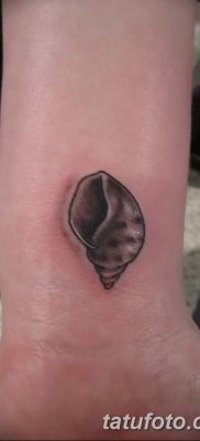 fotó a kagylótetoválásról, dátum: 2017.08.19. 138. sz. - Tetoválóhéj_