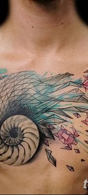 fotó a kagylótetoválásról, kelt 2017. augusztus 19 -én, 147. sz. - Tetoválóhéj_