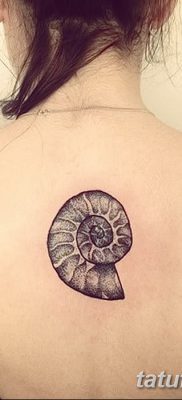 fotó egy kagylótetoválásról, kelt 2017. augusztus 19 -én, 149. sz. - Tetoválóhéj_