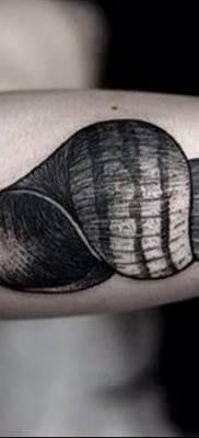 fotó a kagylótetoválásról, dátum: 2017.08.19. 155. szám - Tetoválóhéj_